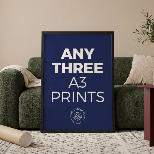 Any Three A3 Prints Bundle